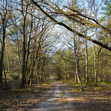 Horská chata Chalet205, Vanaf 2027 Chalet207A *